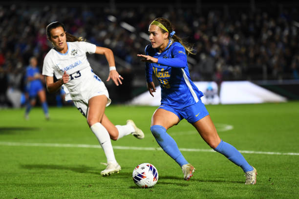 或者从南美 或者从南美