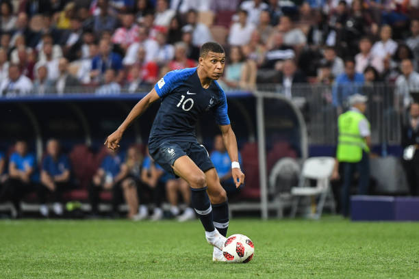 利的果实 利的果实